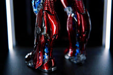 Carica l&#39;immagine nel visualizzatore di Gallery, STARPLUS SELECT 3D Printed 1/6 Iron MK47/MK46 - 7aleon
